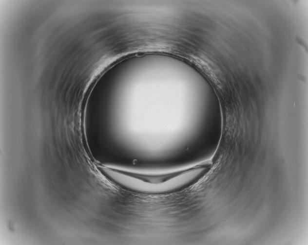 X0000098081184200804181151