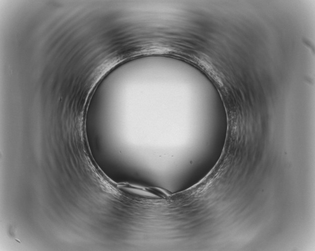 X0000098081186200804181151