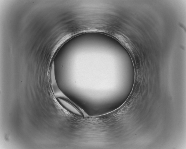 X0000098081189200804181151