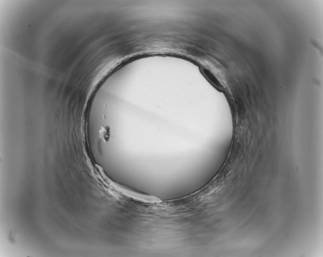 X0000098081191200804181151