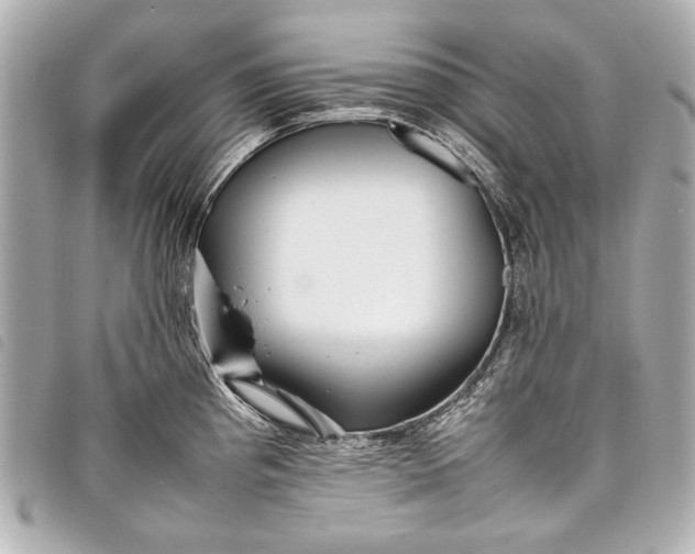 X0000098081193200804181151