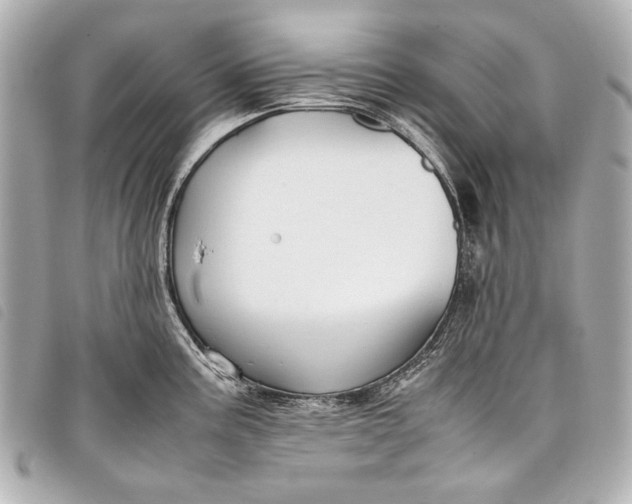 X0000098081195200804181151