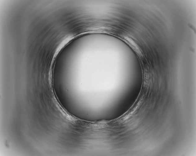 X0000098081196200804181151