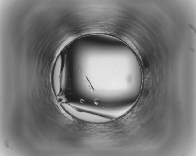 X0000098081197200804181151