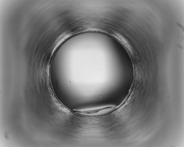 X0000098081198200804181151