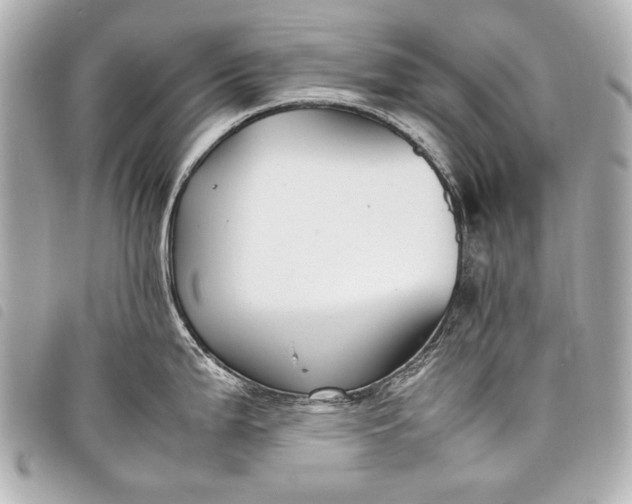 X0000098081199200804181151