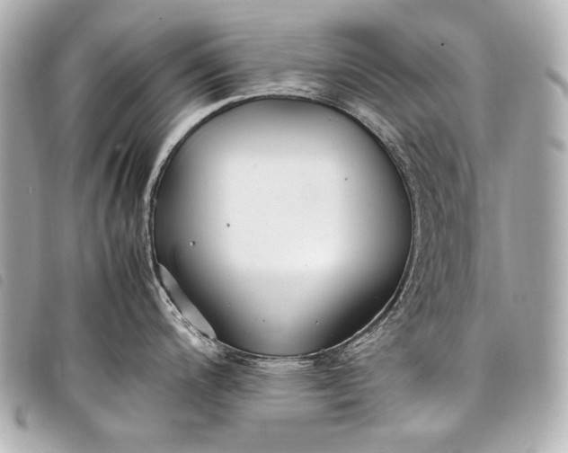 X0000098081200200804181151