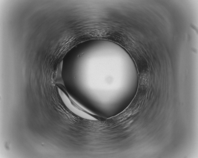 X0000098081202200804181150