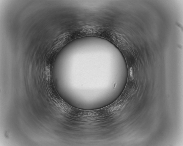 X0000098081203200804181150