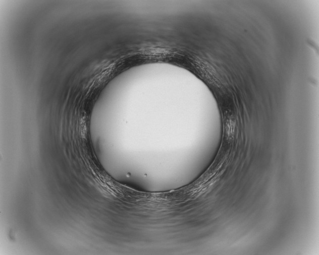 X0000098081204200804181150