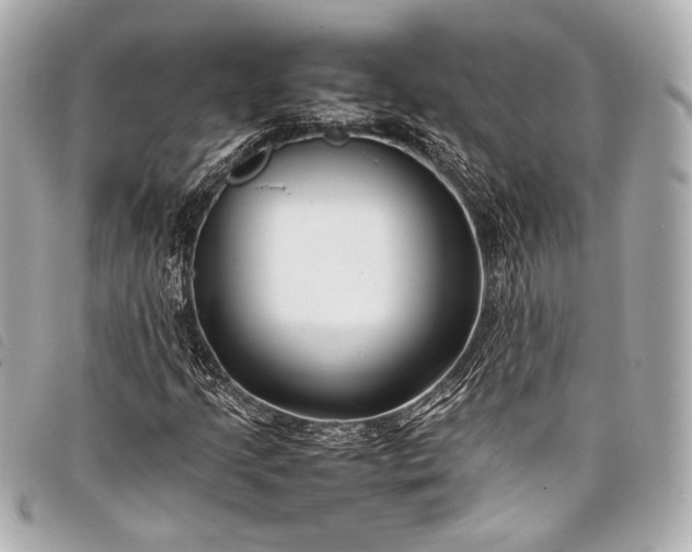 X0000098081205200804181150