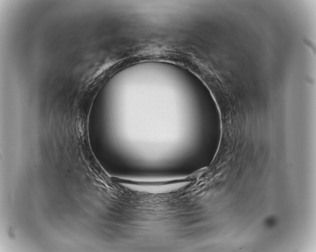 X0000098081206200804181150