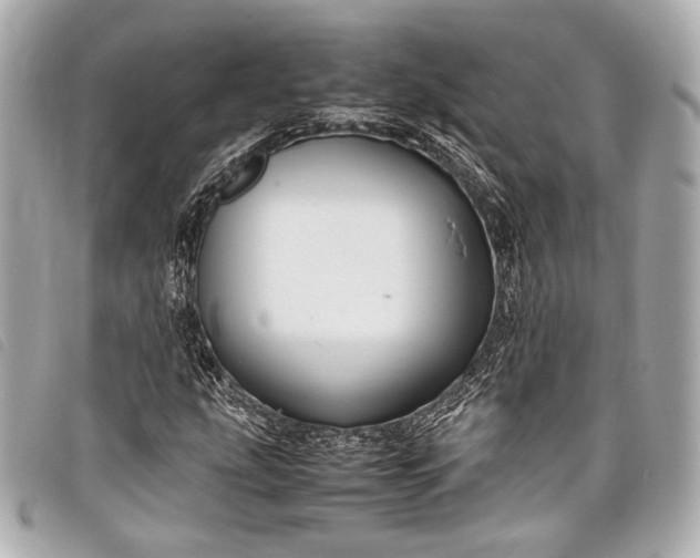 X0000098081207200804181150