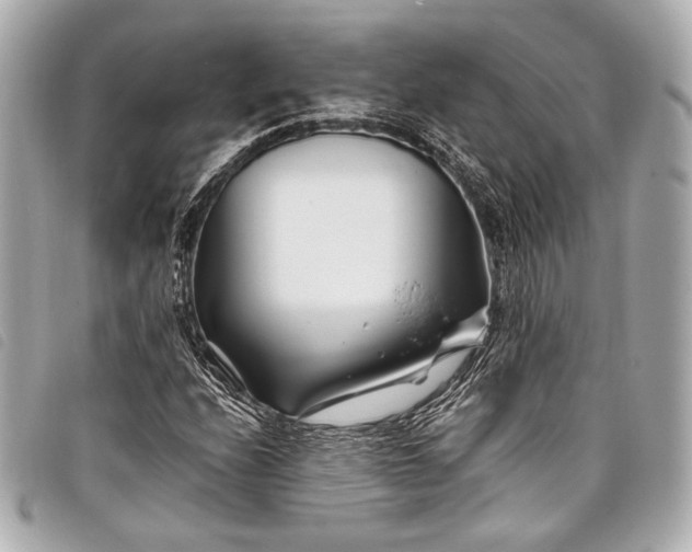 X0000098081208200804181150