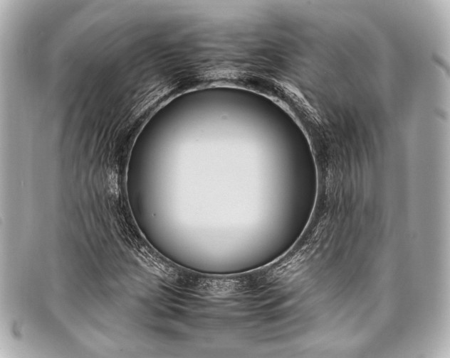 X0000098081209200804181150