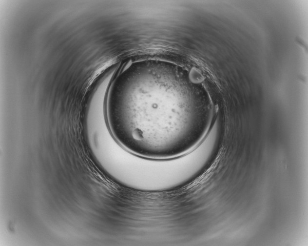 X0000098081210200804181150