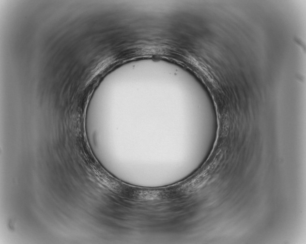 X0000098081211200804181150