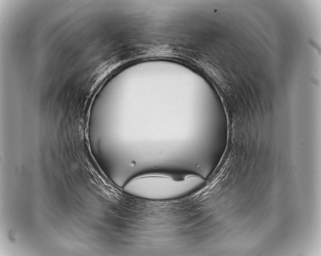 X0000098081212200804181150