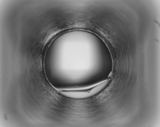 X0000098081214200804181150