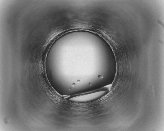 X0000098081215200804181150