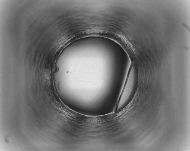 X0000098081217200804181150