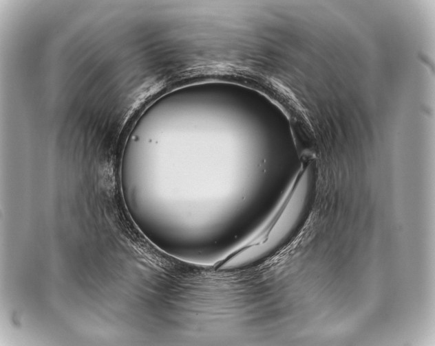 X0000098081218200804181150