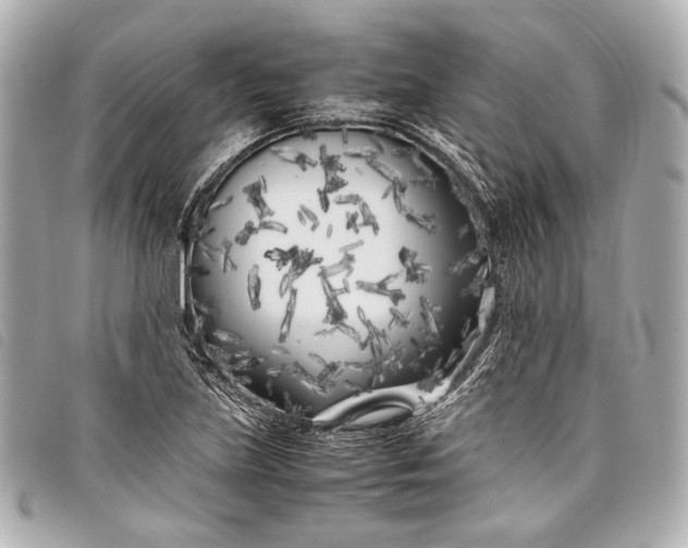 X0000098081219200804181150