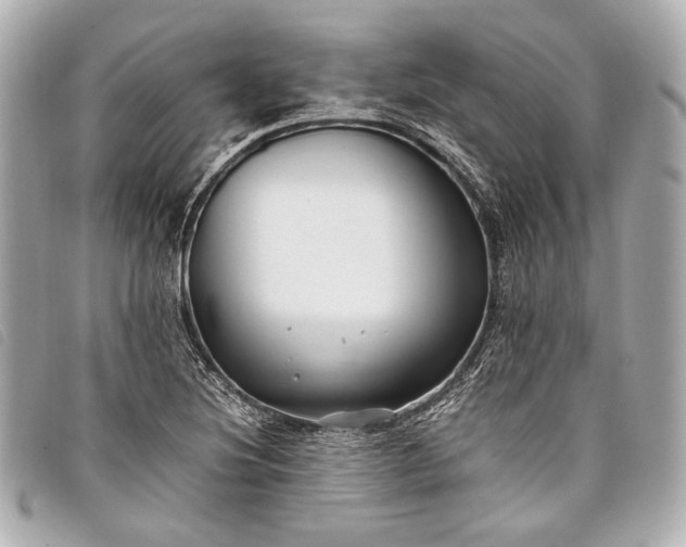 X0000098081220200804181150