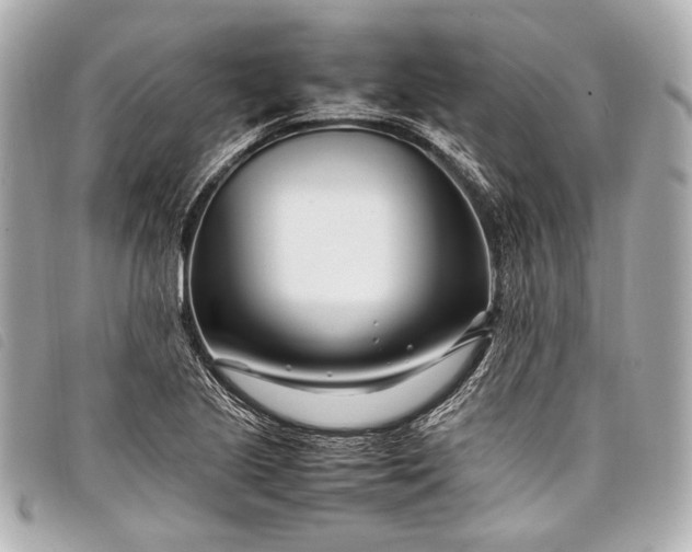 X0000098081221200804181150