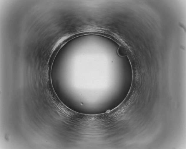 X0000098081222200804181150