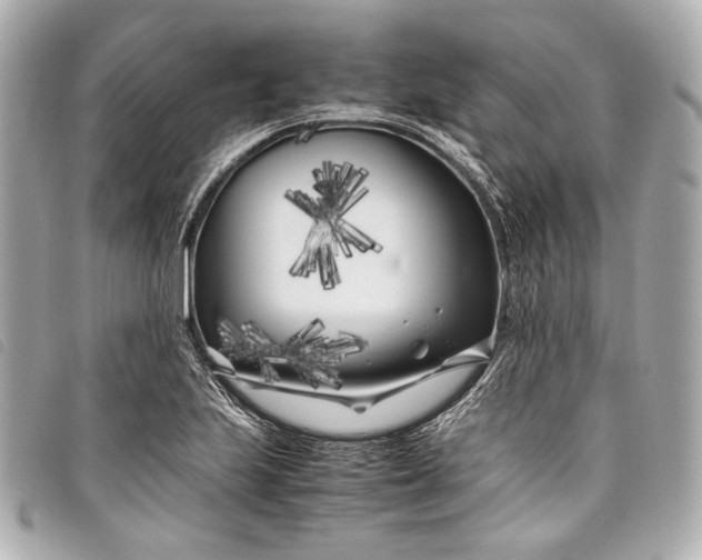 X0000098081223200804181150