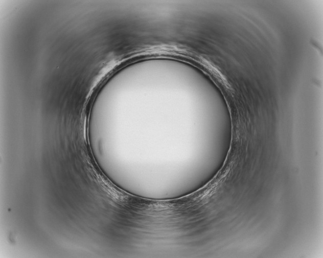 X0000098081224200804181150