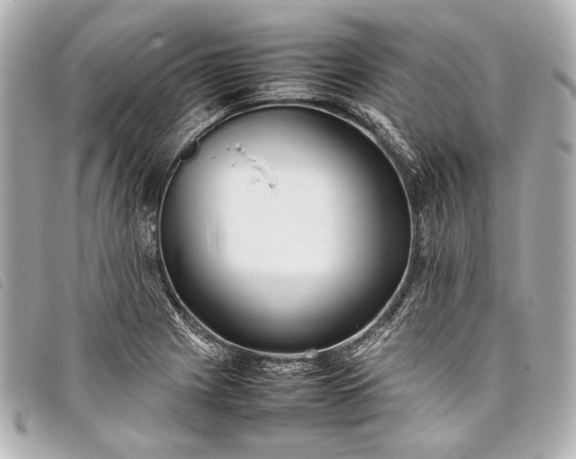 X0000098081225200804181150