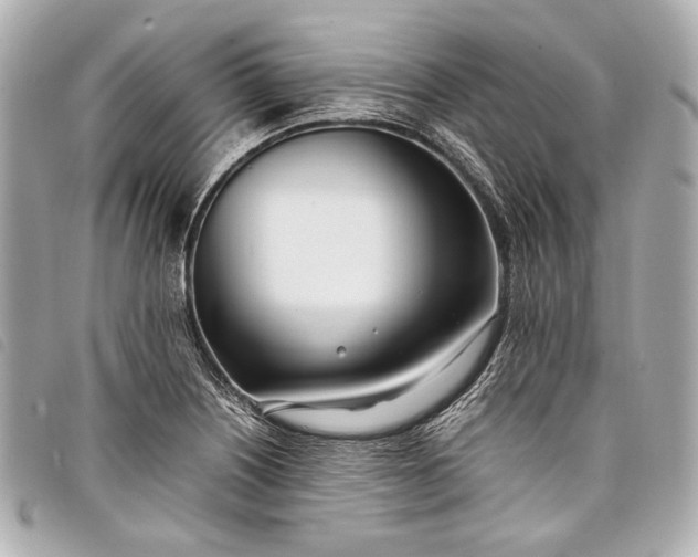 X0000098081226200804181150