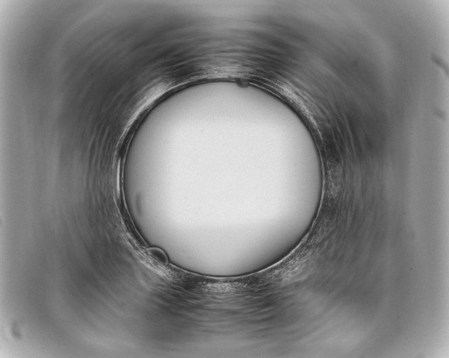 X0000098081227200804181150