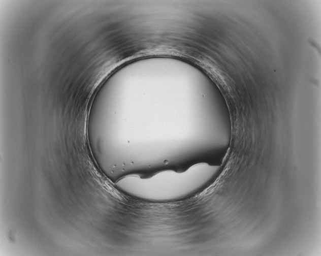 X0000098081228200804181150