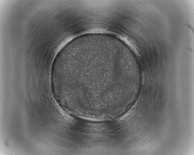 X0000098081229200804181150