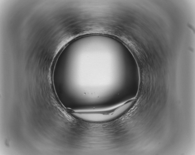 X0000098081230200804181150