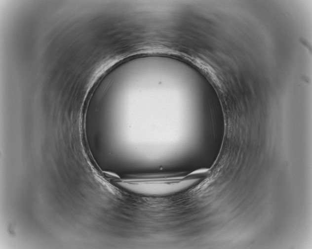 X0000098081231200804181150