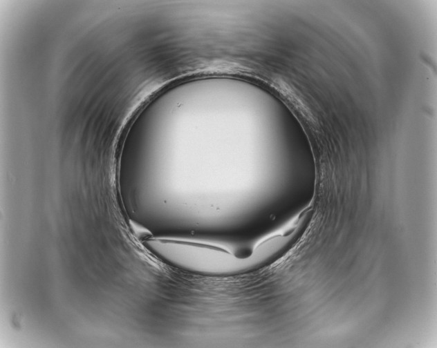 X0000098081232200804181150