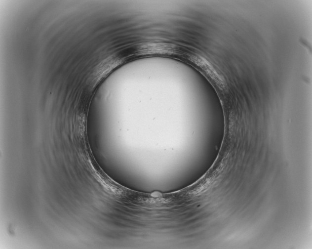 X0000098081233200804181150