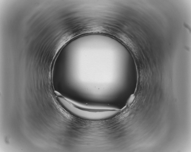 X0000098081234200804181150