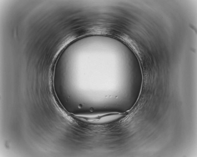 X0000098081235200804181151