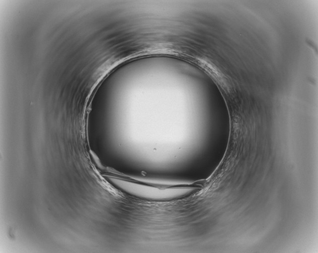 X0000098081236200804181151