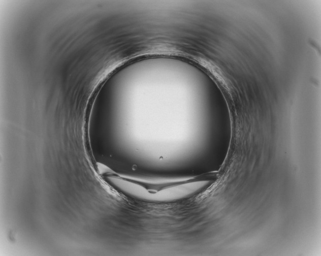 X0000098081237200804181151