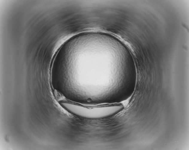 X0000098081239200804181151