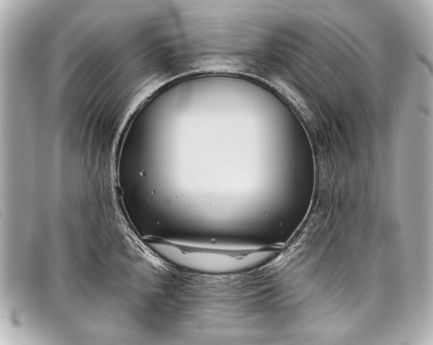 X0000098081240200804181151