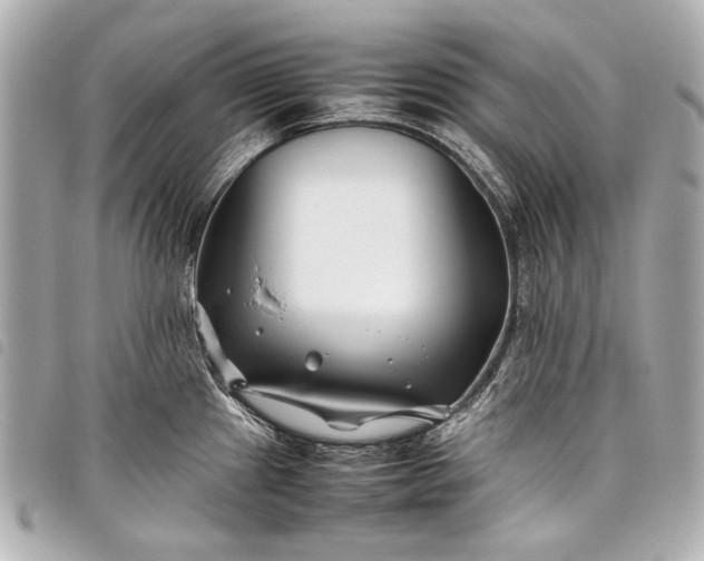 X0000098081241200804181151