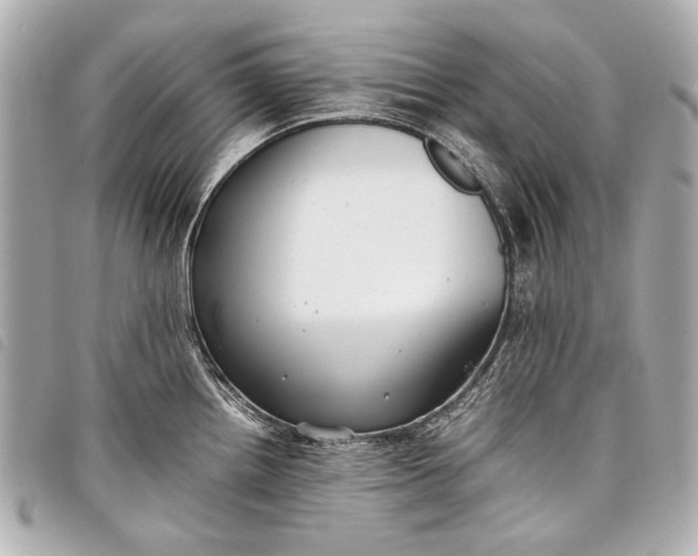 X0000098081242200804181151