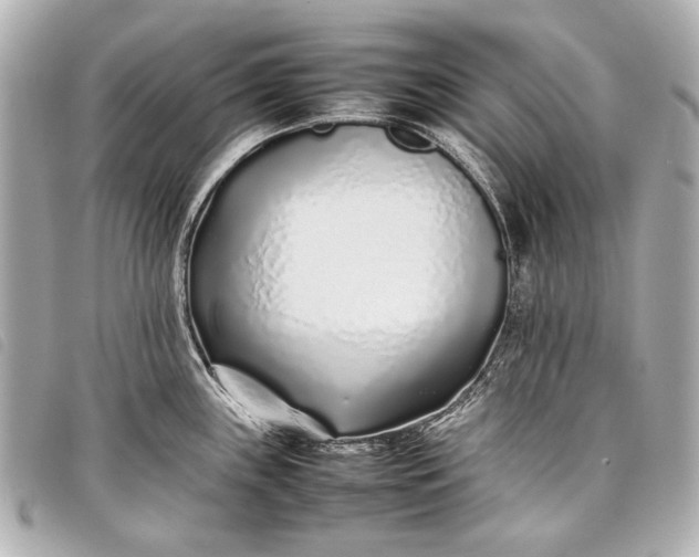 X0000098081243200804181151